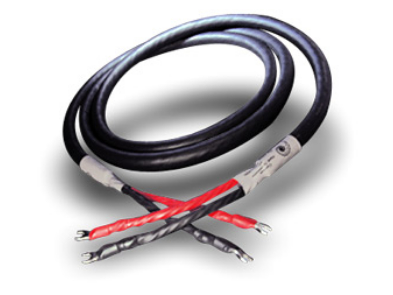 GoldenReferenceSpeaker